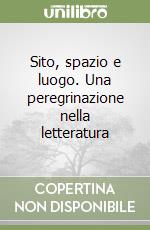 Sito, spazio e luogo. Una peregrinazione nella letteratura libro