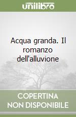 Acqua granda. Il romanzo dell'alluvione