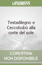 Testadilegno e Ceccobubù alla corte del sole libro