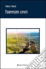 Frammenti limati libro