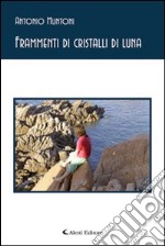 Frammenti di cristalli di luna libro