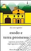 Esodo e terra promessa. Esperienze parrocchiali dagli Appennini a Firenze libro di Tagliaferri Mino