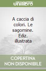 A caccia di colori. Le sagomine. Ediz. illustrata libro