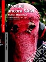 Provaci ancora Sam libro