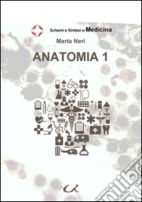 Anatomia 1