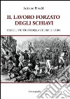 Il lavoro forzato degli schiavi. I secoli più tristi della storia di Cuba libro