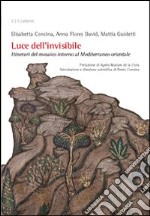 Luce dell'invisibile. Itinerario del mosaico intorno al Mediterraneo orientale libro