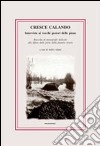 Cresce calando. Interviste ai vecchi gestori delle piene libro di Adami A. (cur.)