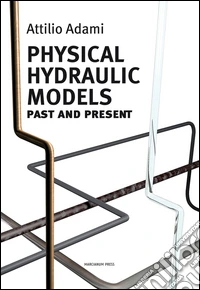 Physical hydraulic models. Past and present