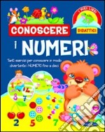 Conoscere i numeri libro