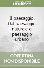 Il paesaggio. Dal paesaggio naturale al paesaggio urbano libro