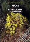 Alghe e fanerogame del Mediterraneo. Ediz. illustrata libro