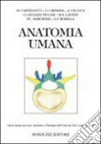 Anatomia umana