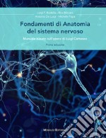 Fondamenti di anatomia del sistema nervoso. Manuale basato sull'opera di Luigi Cattaneo libro