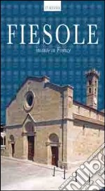 Guida Fiesole. Incanto su Firenze libro