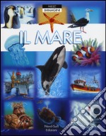 Il mare