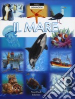 Il mare. Ediz. a colori