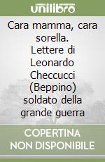 Cara mamma, cara sorella. Lettere di Leonardo Checcucci (Beppino) soldato della grande guerra libro