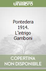 Pontedera 1914. L'intrigo Gamboni libro