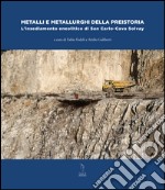 Metalli e metallurghi della preistoria. L'insediamento eneolitico di San Carlo-Cava Solvay libro