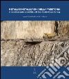 Metalli e metallurghi della preistoria. L'insediamento eneolitico di San Carlo-Cava Solvay libro