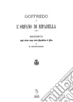 Goffredo o l'orfano di Riparbella. Racconto degli ultimi tempi della Repubblica di Pisa libro