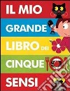 Il mio grande libro dei cinque sensi. Ediz. illustrata libro