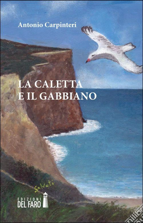 La caletta e il gabbiano