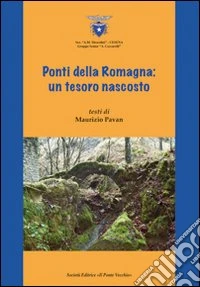 Ponti della Romagna. Un tesoro nascosto
