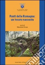Ponti della Romagna. Un tesoro nascosto