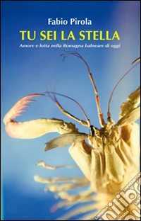 Tu sei la stella