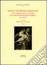 Napoli viceregno spagnolo. Una capitale della cultura alle origini dell'Europa moderna (sec. XVI-XVII)