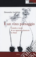 È un vino paesaggio. Pratiche e teorie di un vignaiolo planetario in Friuli