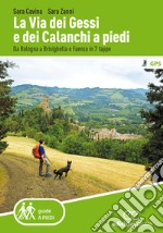 La Via dei Gessi e dei Calanchi a piedi. Da Bologna a Brisighella e Faenza in 7 tappe libro