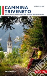 Cammina Triveneto. 18 vacanze a piedi in Veneto, Friuli Venezia Giulia e Trentino Alto Adige libro