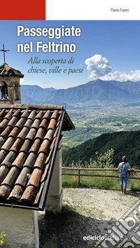 Passeggiate nel Feltrino. Alla scoperta di chiese, ville e paesi libro
