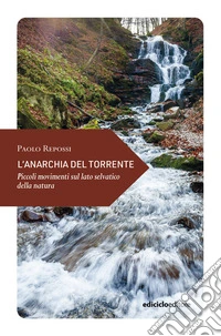 L'anarchia del torrente. Piccoli movimenti sul lato libro