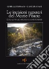 Le incisioni rupestri del Monte Pisano. Guida al sito archeologico di monte Cotrozzi libro