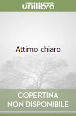 Attimo chiaro libro