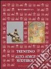 Santuari d'Italia. Trentino Alto Adige-Südtirol. Ediz. illustrata libro