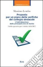 Proposta per un piano delle verifiche del collegio sindacale libro