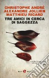 Tre amici in cerca di saggezza. Consigli per una vita felice libro di André Christophe Jollien Alexandre Ricard Matthieu