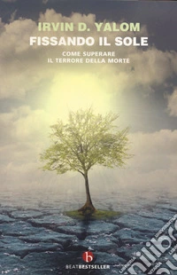 Fissando il sole