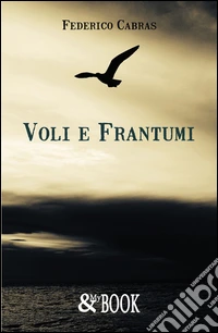 Voli e frantumi