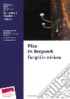 Pilze im Bergwerk-Funghi in miniera. Ediz. bilingue libro