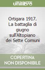 Ortigara 1917. La battaglia di giugno sull'Altopiano dei Sette Comuni