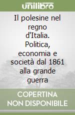 Il polesine nel regno d'Italia. Politica, economia e società dal 1861 alla grande guerra libro