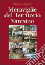 Meraviglie del territorio varesino