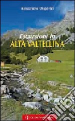 Escursioni in Alta Valtellina libro