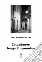 Istantanee lungo il cammino libro